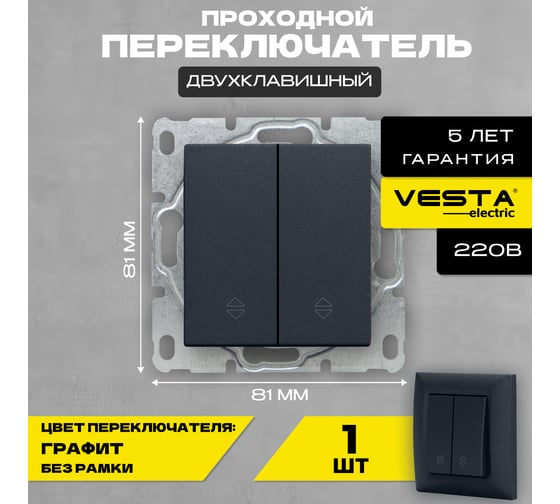 Выключатель Vesta Electric Roma GRAFIT двухклавишный реверсивный без рамки FVK010117GRA