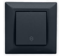 Выключатель Рим Графит реверсивный Metronex Electric FVK010104GRA