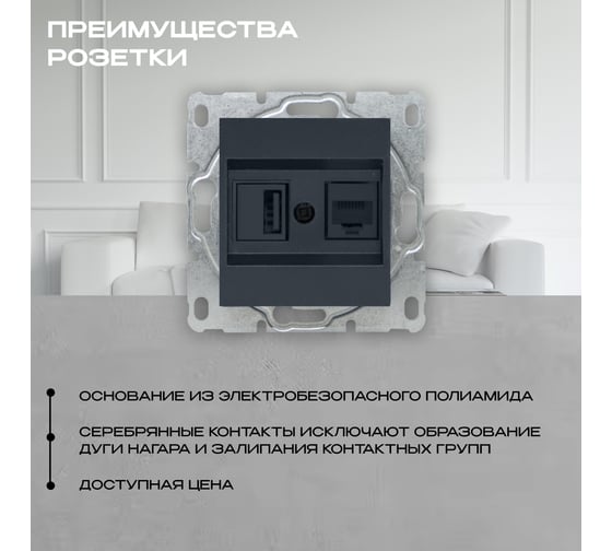 Розетка Vesta Electric Roma GRAFIT для USB + сетевого кабеля LAN без рамки FRZ00050207GRA
