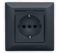 Розетка Metronex Electric Roma Grafit одинарная с заземлением с крышкой FRZ00010103GRA