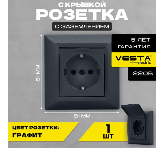 Розетка Vesta Electric Roma GRAFIT одинарная с заземлением с крышкой FRZ00010103GRA