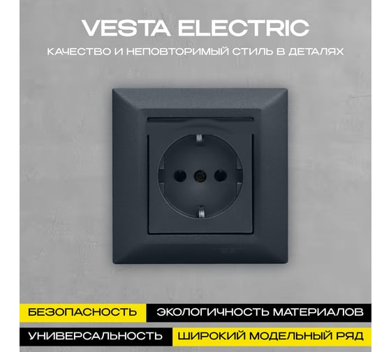 Розетка Vesta Electric Roma GRAFIT одинарная с заземлением с крышкой FRZ00010103GRA
