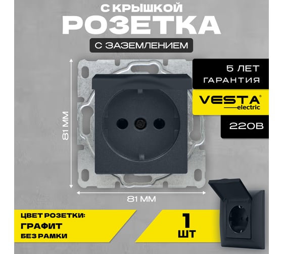 Розетка Vesta Electric Roma GRAFIT одинарная с заземлением с крышкой без рамки FRZ00010110GRA