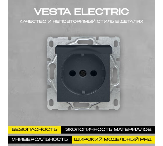 Розетка Vesta Electric Roma GRAFIT одинарная с заземлением с крышкой без рамки FRZ00010110GRA