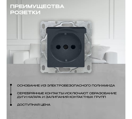 Розетка Vesta Electric Roma GRAFIT одинарная с заземлением с крышкой без рамки FRZ00010110GRA