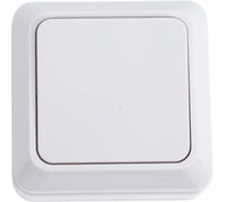 1 клавишный выключатель TANGO белый открытой проводки 10А, 250В 3/ 10/ 200 1007251