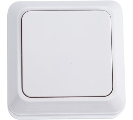 1 клавишный выключатель TANGO белый открытой проводки 10А, 250В 3/ 10/ 200 1007251