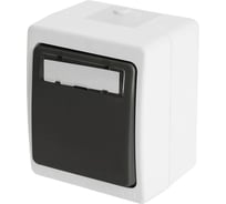 Выключатель 1-клавишный STEKKER c окном для маркировки, PSW10-114-54, открытой установки, 250В, 10А, IP54, серый/графит, 49723