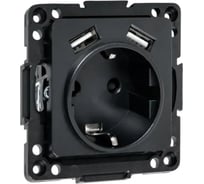 Механизм 1-местной розетки EKF Стокгольм с заземлением, USB 2A, 16А, винтовые клеммы, черный, с защитными шторками EZR16-2USB-typeA