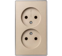 Розетка 2-местная Smartbuy 10А без заземления шампань Сириус (SBE-07w-10-S2-N) SBE-07c-16-S2-N