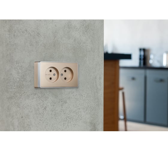 Розетка 2-местная Smartbuy 10А без заземления шампань Сириус (SBE-07w-10-S2-N) SBE-07c-16-S2-N