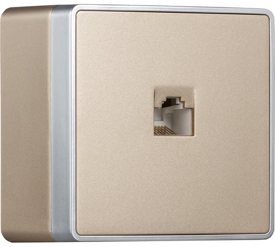 Розетка компьютерная Smartbuy RJ-45 1-местная шампань Сириус (SBE-07w-S1-RJ) SBE-07c-S1-RJ