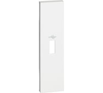Лицевая панель Bticino LIVING NOW для разьемов передачи данных USB 1 модуль. Цвет Белый. KW10P