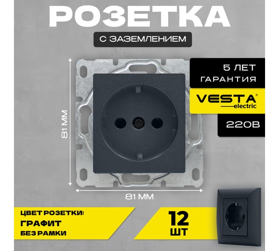 Набор Розетка Vesta Electric Vesta-Electric Roma GRAFIT одинарная с заземлением без рамки, 12 шт FRZ00020106GRA-12