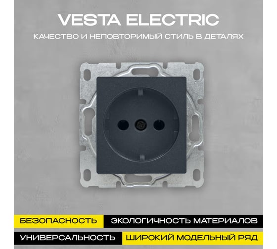 Набор Розетка Vesta Electric Vesta-Electric Roma GRAFIT одинарная с заземлением без рамки, 12 шт FRZ00020106GRA-12