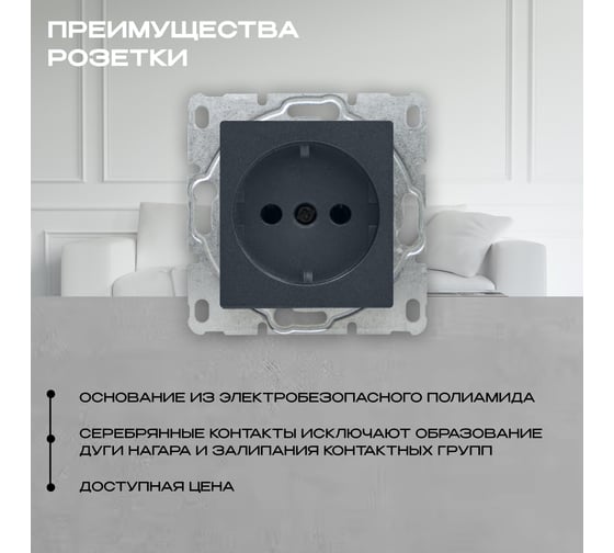 Набор Розетка Vesta Electric Vesta-Electric Roma GRAFIT одинарная с заземлением без рамки, 24 шт FRZ00020106GRA-24