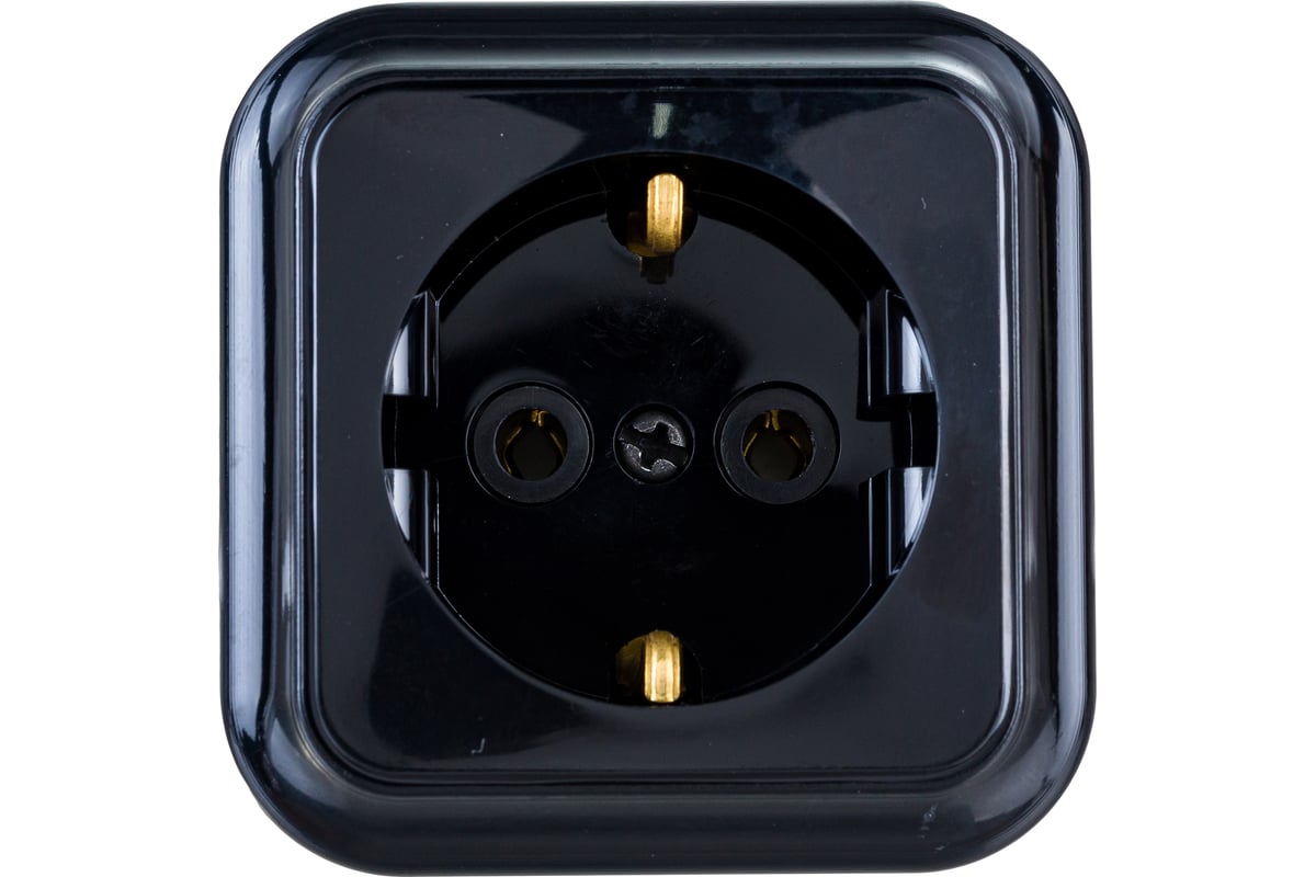 Розетка Bylectrica 1-местная ОУ с заз.конт., серия ПРАЛЕСКА, черный ...