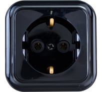 Розетка Bylectrica 1-местная ОУ с заз.конт., серия ПРАЛЕСКА, черный, РА16-254 черный