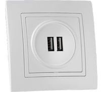 Розетка BYLECTRICA 2-местная USB, серия УЮТ, белый РП5-421