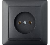 Розетка Bylectrica 1-местная СУ, серия СТИЛЬ, графит, РС16-305 графит