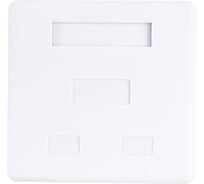 Компьютерная розетка Netlink FD-6166 2хRJ-45 8р-8с 5 кат 00000000425