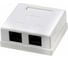 Компьютерная розетка Netlink FD-6166 2хRJ-45 8р-8с 5 кат 00000000425 5