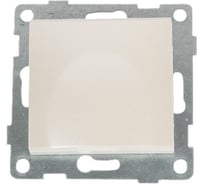 Механизм розетки GUSI ELECTRIC 1-ой с заземлением, с защитными шторками и крышкой, СУ, 16А, 250В, жемчуг С10Р91-028