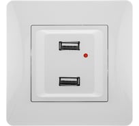 USB розетка GUSI ELECTRIC Ugra двойная, СУ, белый С11USB2-001-СБ