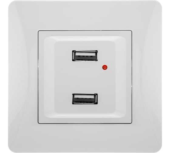 USB розетка GUSI ELECTRIC Ugra двойная, СУ, белый С11USB2-001-СБ 1