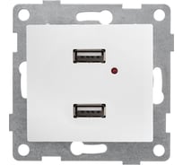 Механизм розетки GUSI ELECTRIC двойной, СУ, жемчуг С10USB2-028