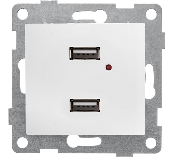 Механизм розетки GUSI ELECTRIC двойной, СУ, жемчуг С10USB2-028 1