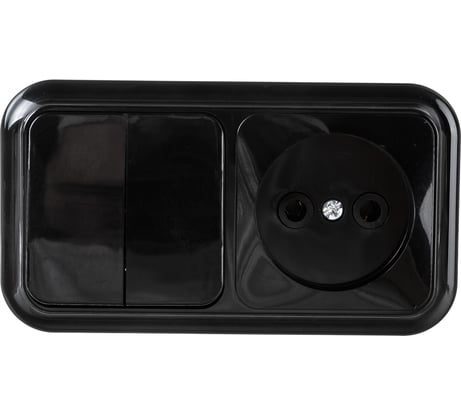 Блок Bylectrica 2 выключателя + розетка ОУ, серия ПРАЛЕСКА, 2В-РЦ-523 черный