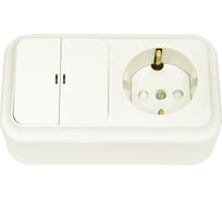 Блок Bylectrica, 2 выключателя + розетка с заземляющим контактом ОУ со шторкой с подсветкой, серия ПРАЛЕСКА, бежевый 2В-РЦ-589
