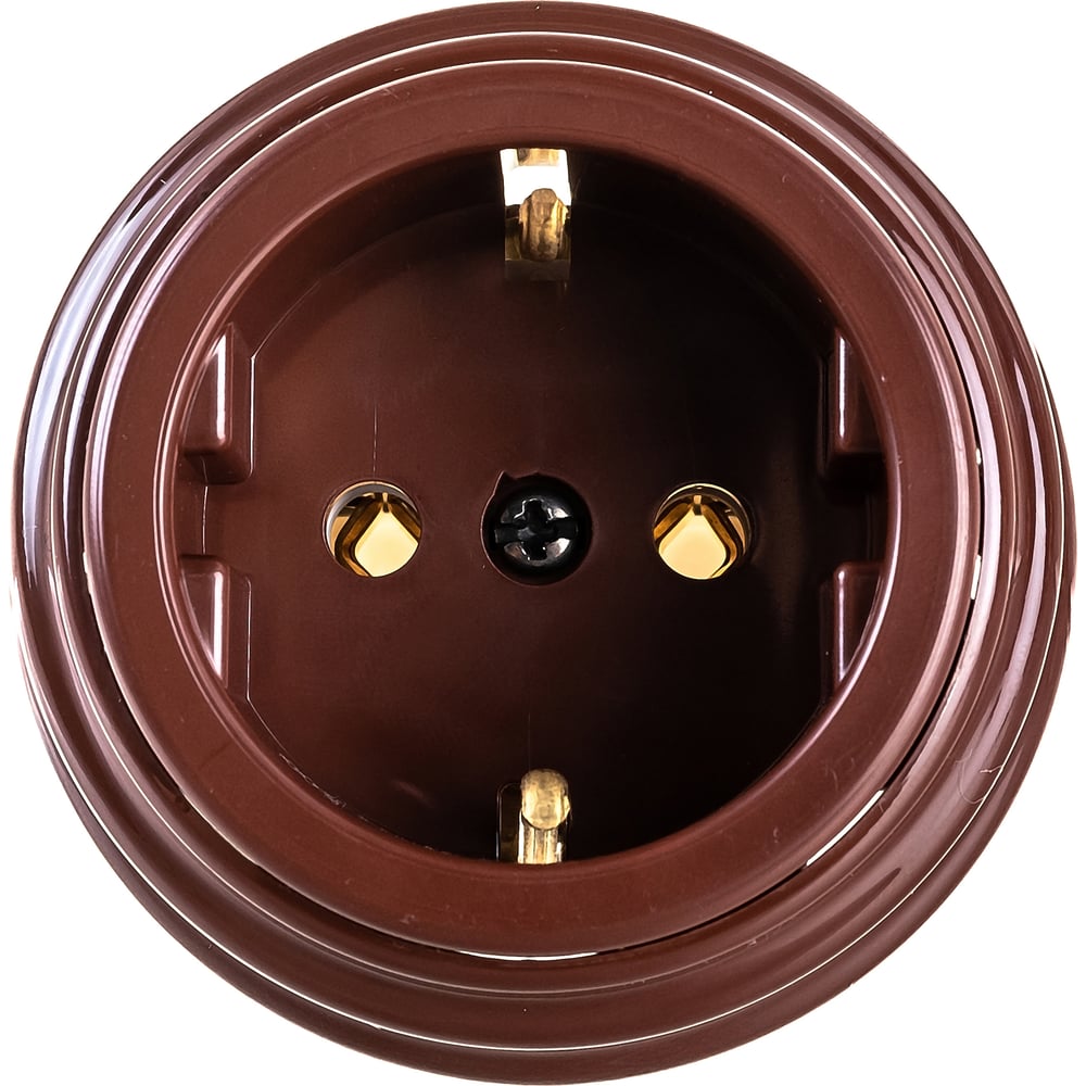 Розетка Bylectrica РА16-0202 1-местная с заз. контактом 16А ОУ, серия ...