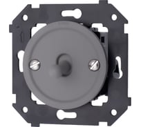 Выключатель 1-клавишный Bironi скрытый монтаж, пластик, цвет титан матовый, тумблерный B3-230-26M