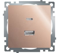 Механизм розетки 2-местной STEKKER USB + type C, GLS10-7116-02, 250B, 3A, max 20W, серия Катрин, шампань, 50056