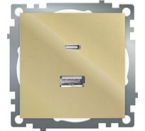 Механизм розетки 2-местной STEKKER USB + type C, 250В, 3А, max 20W, GLS10-7116-08, серия Катрин, золото, 50053