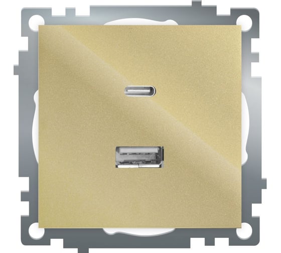 Механизм розетки 2-местной STEKKER USB + type C, 250В, 3А, max 20W, GLS10-7116-08, серия Катрин, золото, 50053