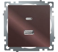 Механизм розетки 2-местной STEKKER USB + type C, GLS10-7116-04, 250В, 3А, max 20W,серия Катрин, шоколад, 50057