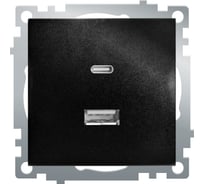 Механизм розетки 2-местной STEKKER USB + type C, GLS10-7116-05, 250B, 3А, серия Катрин, черный, 50055