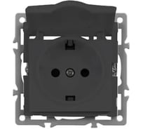 Механизм розетки влагозащищённый Arlight SCT-MCP-PL-BK 1шт 043746