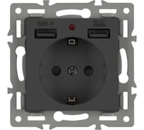 Механизм розетки с USB зарядкой Arlight SCT-MUAA-PL-BK 1шт 043734