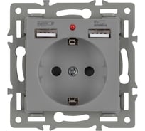 Механизм розетки с USB зарядкой Arlight SCT-MUAA-PL-GR 1шт 043735
