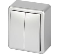 Выключатель ЭРА Эксперт 11120503 двойной, с подсветкой, IP20, 10АХ250В ОУ, алюминий Б0063001