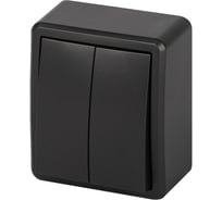 Выключатель ЭРА Эксперт 11120505 двойной, с подсветкой, IP20, 10АХ250В ОУ, антрацит Б0063021