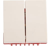 Выключатель 2-контактный LANMASTER двухклавишный, 45х45, белый LAN-EC45x45-S22-WH