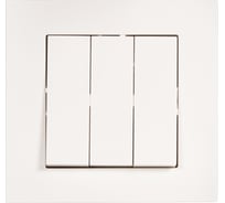 Выключатель тройной односторонний Arvia Electric белый цвет (с рамкой) 20011000254