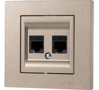 Розетка дата с двойным разъемом на выходе Arvia Electric (2 х RJ45 кабель CAT6) цвет титановый (с рамкой) 20052000248