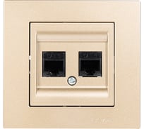 Розетка дата с двойным разъемом на выходе Arvia Electric (2 х RJ45 кабель CAT6) цвет антрацит (с рамкой) 20062000248