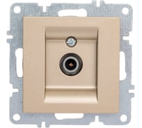 Розетка с ТВ экраном пропускная Arvia Electric цвет титановый 50052000272